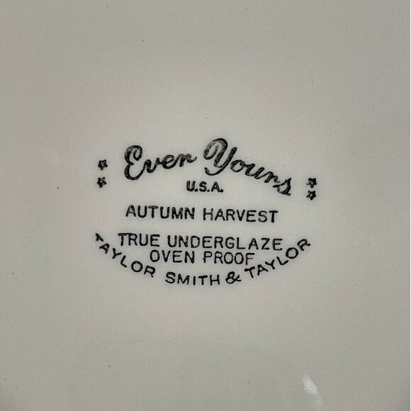Vintage Taylor Smith & Taylor Autumn Harvest 10" Ceramic Dinner Plate MCM - Picture 4 of 8